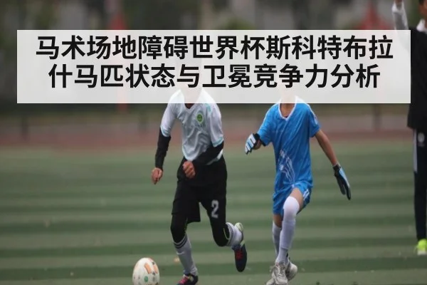 马术场地障碍世界杯斯科特布拉什马匹状态与卫冕竞争力分析